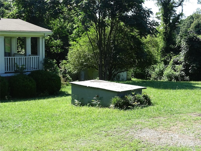 113 Dillon St, Winston Salem, NC 27107 - view of green lawn
