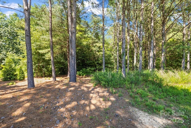 4930 Killian Crossing Dr, Denver, NC 28037 - view of tree filled area