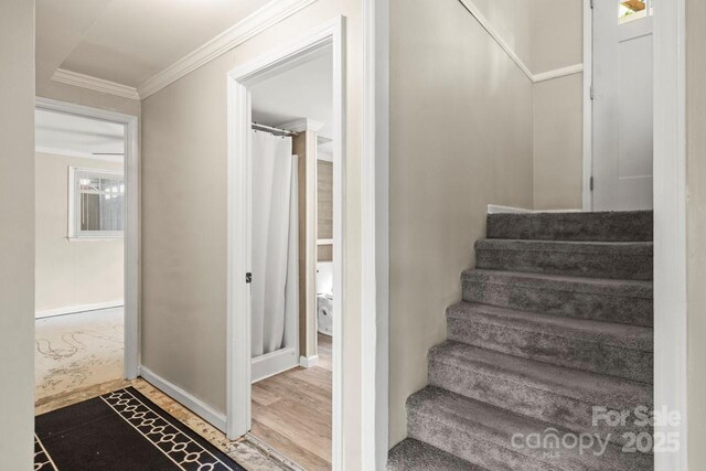 172 Honeydew Cir, Troutman, NC 28166 - stairway with crown molding and wood finished floors