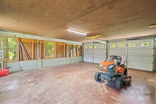 172 Honeydew Cir, Troutman, NC 28166 - view of garage