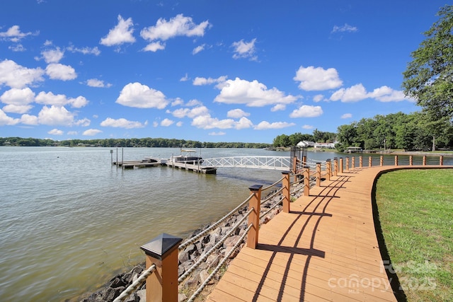 1345 Shimmer Light Cir, Rock Hill, SC 29732 - photo 45