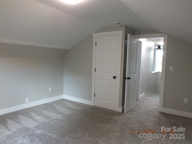 1732 Rocky River Rd, Lancaster, SC 29720 - additional living space featuring carpet flooring and lofted ceiling