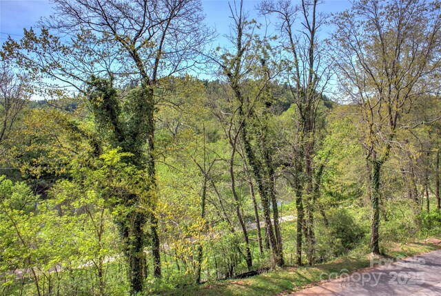 12 Upstream Way, Asheville, NC 28806 - photo 11