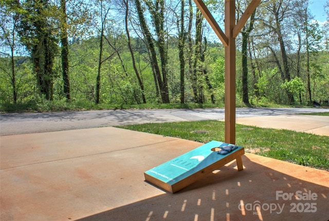 12 Upstream Way, Asheville, NC 28806 - photo 44