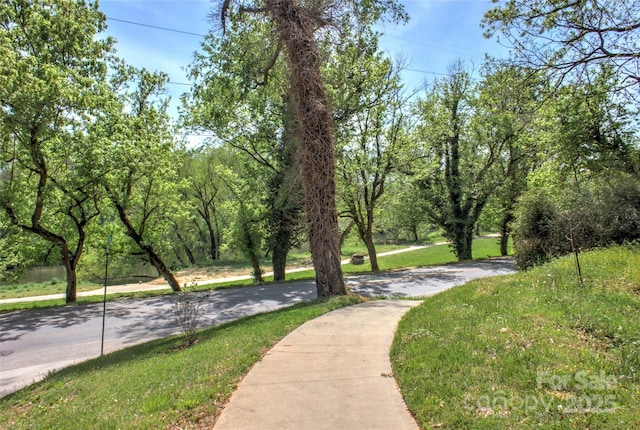 12 Upstream Way, Asheville, NC 28806 - photo 45