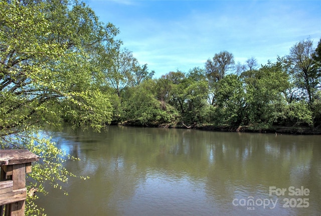 12 Upstream Way, Asheville, NC 28806 - photo 47