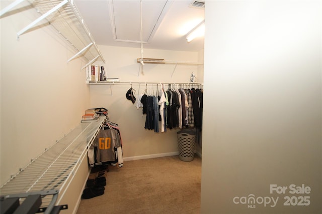 2418 Alaqua Ct, Matthews, NC 28105 - spacious closet featuring attic access and carpet floors