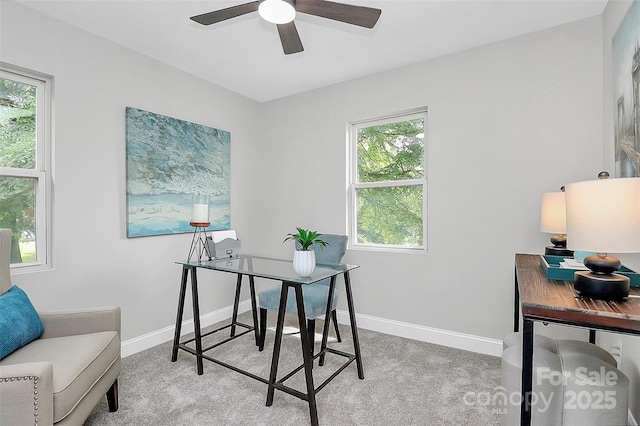 1007 Johnson St, Charlotte, NC 28206 - photo 13