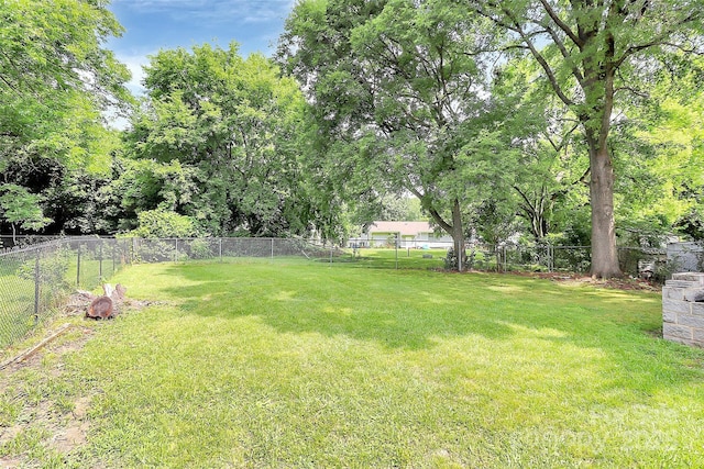 1007 Johnson St, Charlotte, NC 28206 - photo 19