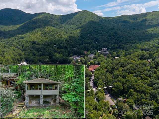 328 Texas Rd, Montreat, NC 28757 - photo 1