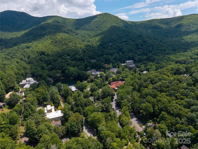 328 Texas Rd, Montreat, NC 28757 - photo 27