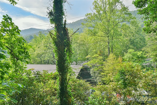 328 Texas Rd, Montreat, NC 28757 - photo 24