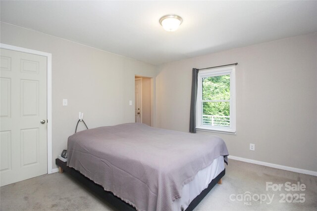 376 Mills Gap Rd Unit Tr 1, Asheville, NC 28803 - photo 14