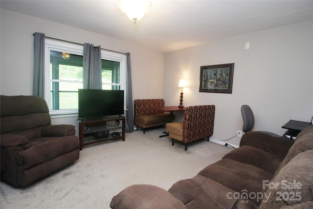 376 Mills Gap Rd Unit Tr 1, Asheville, NC 28803 - photo 16