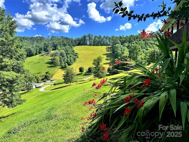 1586 Arbuckle Rd, Burnsville, NC 28714 - photo 4