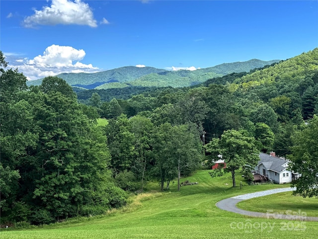 1586 Arbuckle Rd, Burnsville, NC 28714 - photo 8