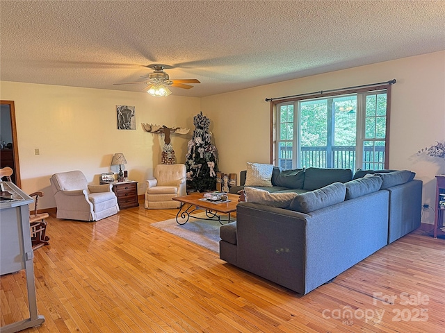 1586 Arbuckle Rd, Burnsville, NC 28714 - photo 12