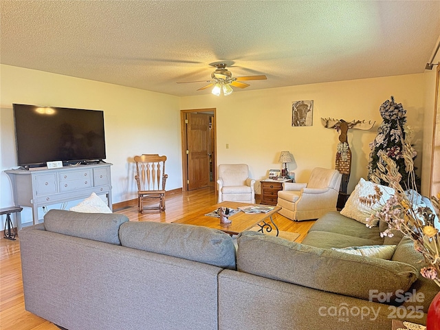 1586 Arbuckle Rd, Burnsville, NC 28714 - photo 13