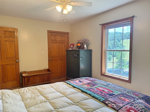 1586 Arbuckle Rd, Burnsville, NC 28714 - photo 23