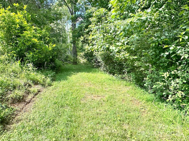 1586 Arbuckle Rd, Burnsville, NC 28714 - photo 33