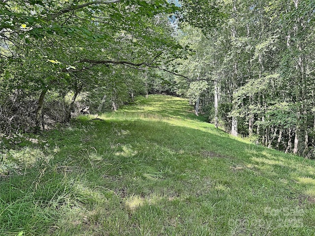 1586 Arbuckle Rd, Burnsville, NC 28714 - photo 34