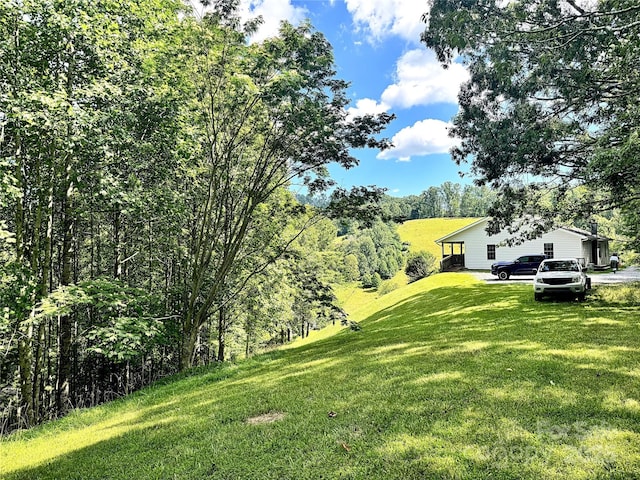 1586 Arbuckle Rd, Burnsville, NC 28714 - photo 35