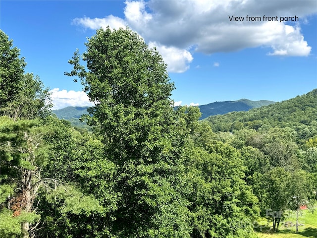 1586 Arbuckle Rd, Burnsville, NC 28714 - photo 39