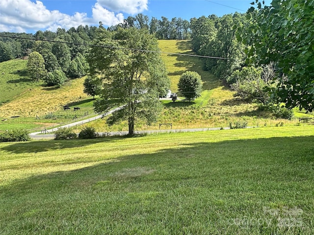 1586 Arbuckle Rd, Burnsville, NC 28714 - photo 40