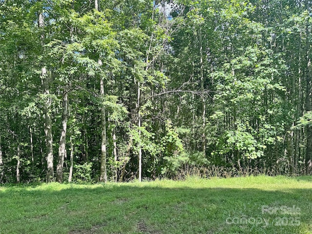 1586 Arbuckle Rd, Burnsville, NC 28714 - photo 41