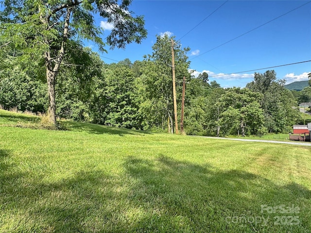 1586 Arbuckle Rd, Burnsville, NC 28714 - photo 43