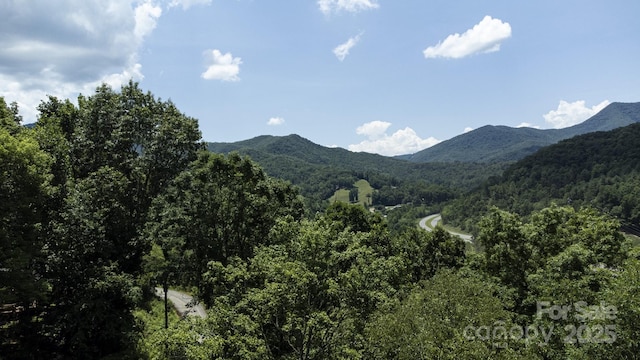 373 Fox Trace Dr, Sylva, NC 28779 - mountain view with a forest
