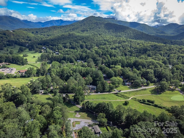 611 Hiawassee Rd, Black Mountain, NC 28711 - bird's eye view of a mountain backdrop