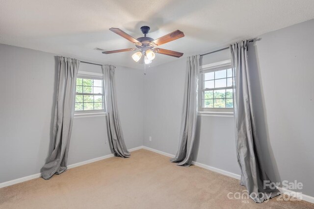 101 Hillsdale Ln, Taylorsville, NC 28681 - photo 20