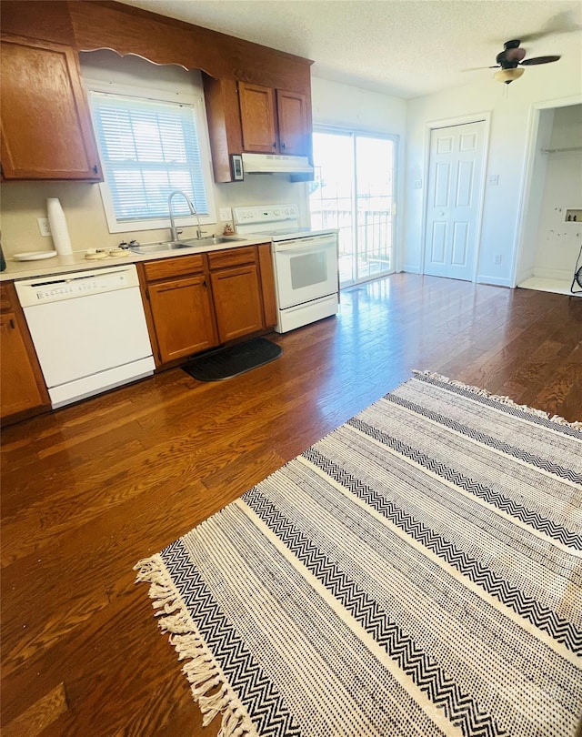 286 Little Wilkesboro Rd, Harmony, NC 28634 - kitchen featuring white appliances, extractor fan, dark wood-style flooring, brown cabinets, and light countertops