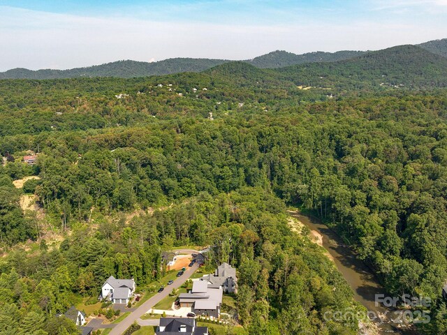 138 Riverbend Forest Dr, Asheville, NC 28805 - photo 41