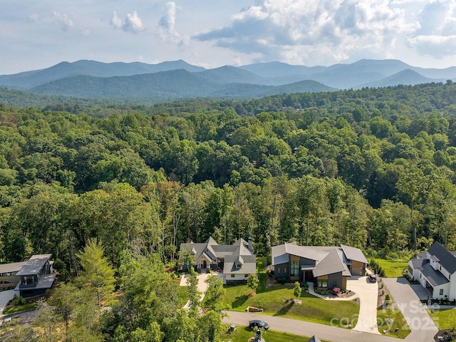 138 Riverbend Forest Dr, Asheville, NC 28805 - photo 42
