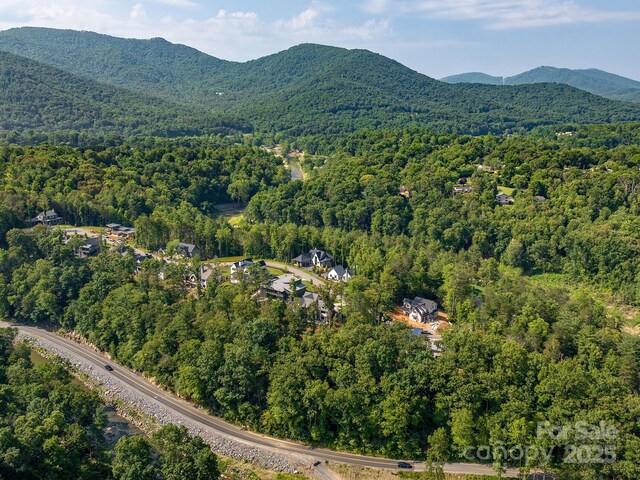 138 Riverbend Forest Dr, Asheville, NC 28805 - photo 43