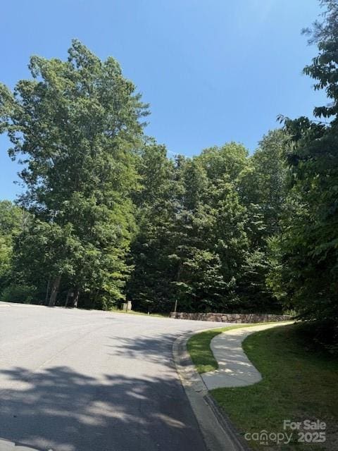 104 Cottage Settings Ln, Black Mountain, NC 28711 - photo 5