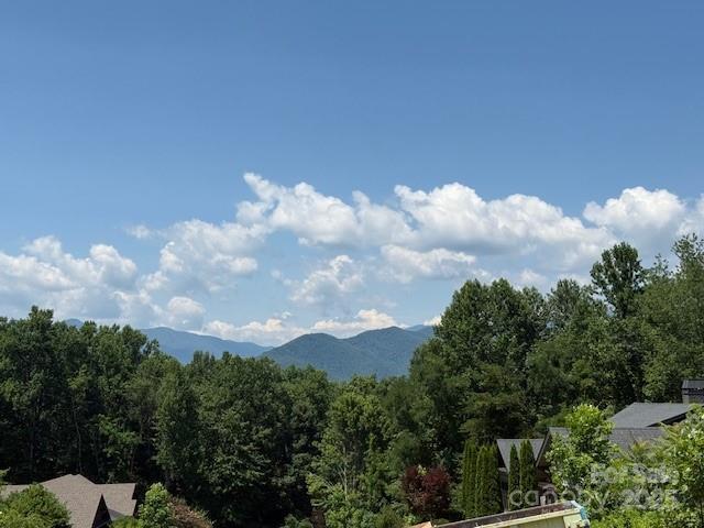104 Cottage Settings Ln, Black Mountain, NC 28711 - photo 6