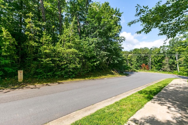 104 Cottage Settings Ln, Black Mountain, NC 28711 - photo 7