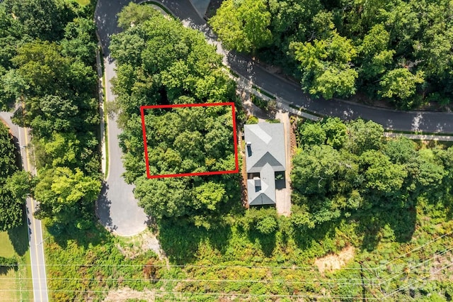 104 Cottage Settings Ln, Black Mountain, NC 28711 - photo 8