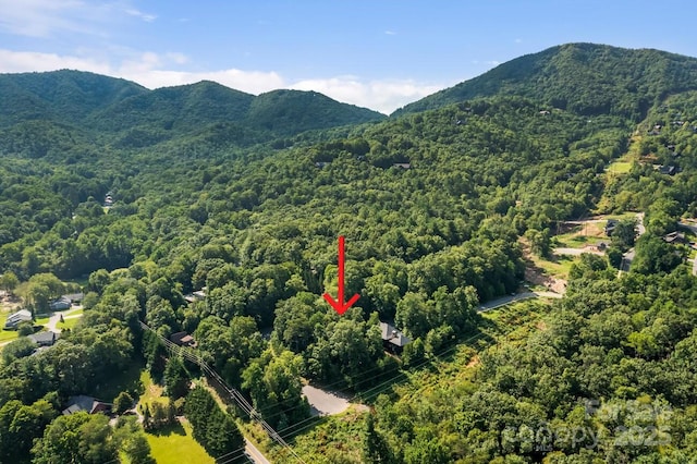 104 Cottage Settings Ln, Black Mountain, NC 28711 - photo 9