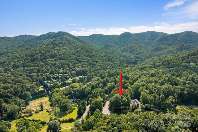 104 Cottage Settings Ln, Black Mountain, NC 28711 - photo 10