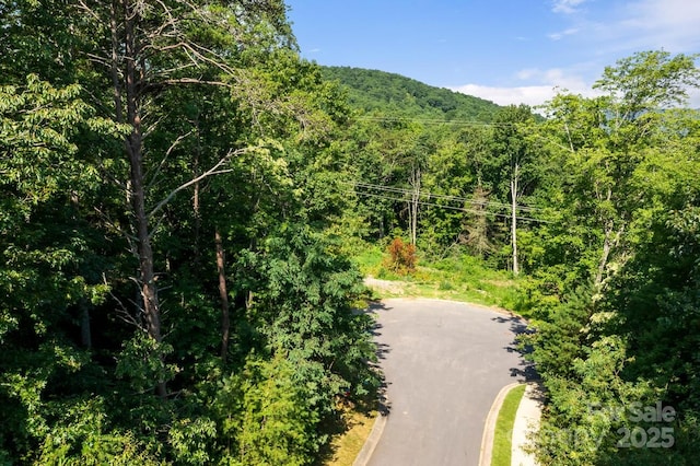 104 Cottage Settings Ln, Black Mountain, NC 28711 - photo 12