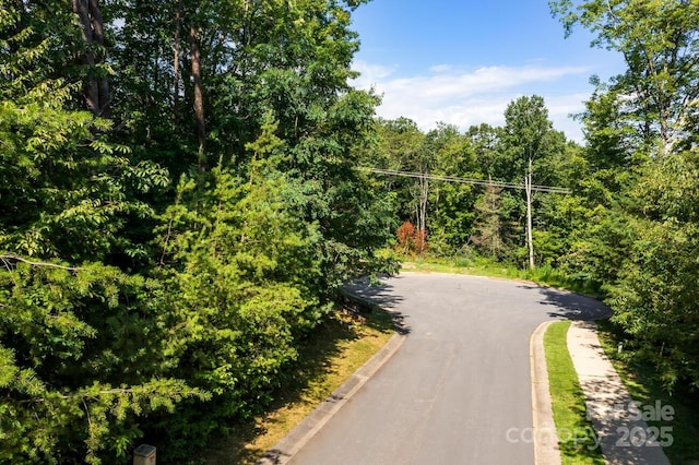 104 Cottage Settings Ln, Black Mountain, NC 28711 - photo 13