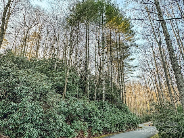 D17 Caroline Ln, Pisgah Forest, NC 28768 - photo 1