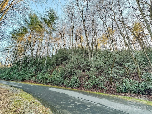 D17 Caroline Ln, Pisgah Forest, NC 28768 - photo 2