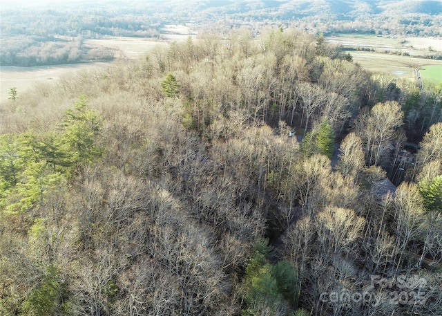 D17 Caroline Ln, Pisgah Forest, NC 28768 - photo 3
