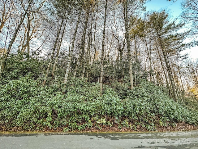 D17 Caroline Ln, Pisgah Forest, NC 28768 - photo 4