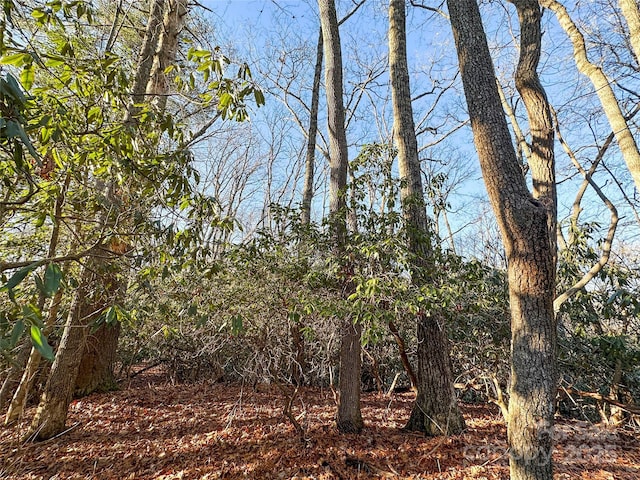 D17 Caroline Ln, Pisgah Forest, NC 28768 - photo 7